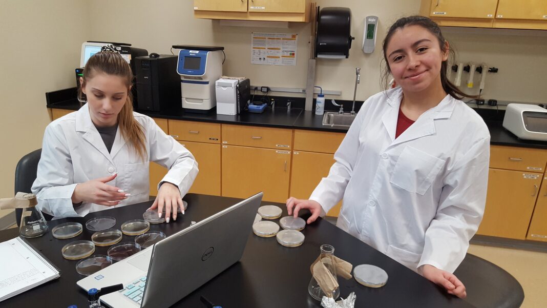 Centro de Excelencia en Biotecnología forma profesionales con alta demanda en Carolina del Norte Centro de Excelencia en Biotecnología forma profesionales con alta demanda en Carolina del Norte