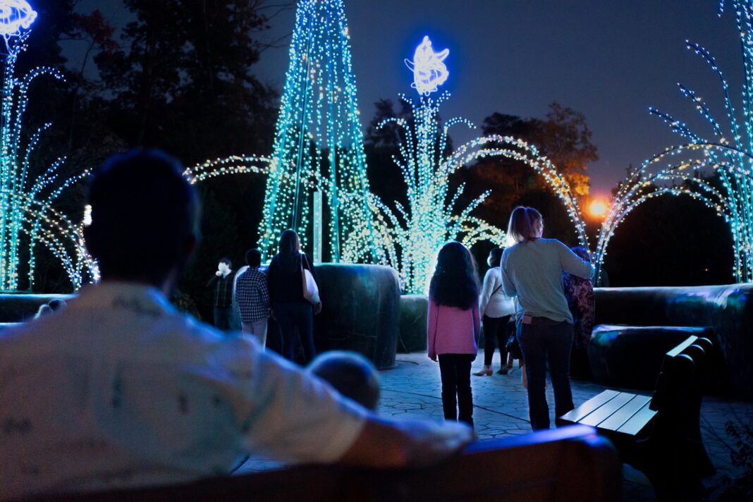 Winter Wonderlights del Centro de Ciencias de Greensboro: La fiesta de luces que ya es tradición en la ciudad Winter Wonderlights del Centro de Ciencias de Greensboro: La fiesta de luces que ya es tradición en la ciudad