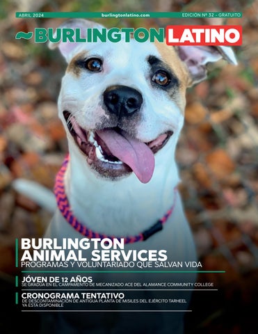 Abril 2024 Abril 2024