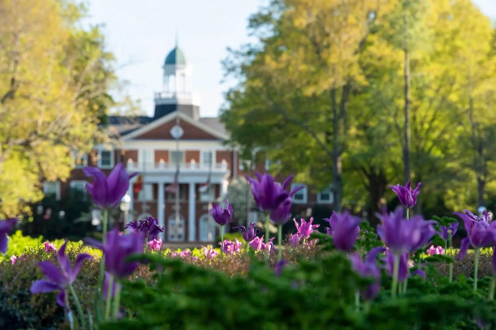 Elon University