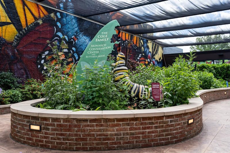 Butterfly Exhibition at Greensboro Science Center